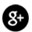 googleplus icon
